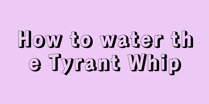 How to water the Tyrant Whip