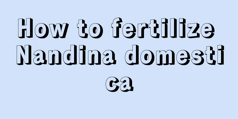 How to fertilize Nandina domestica