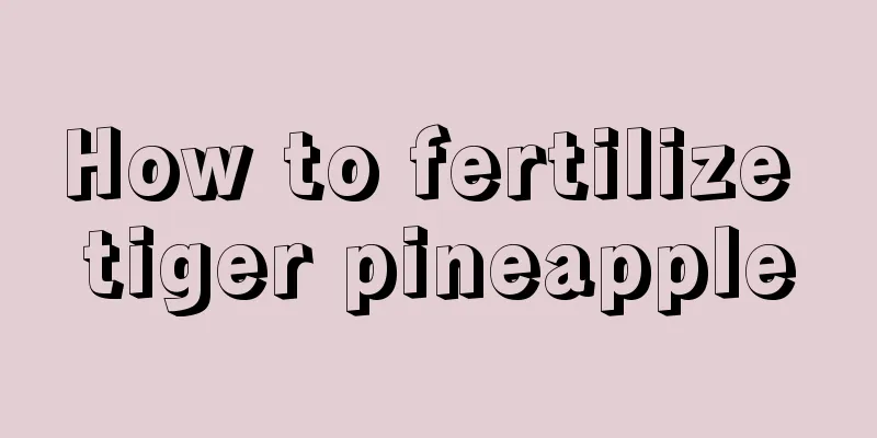 How to fertilize tiger pineapple