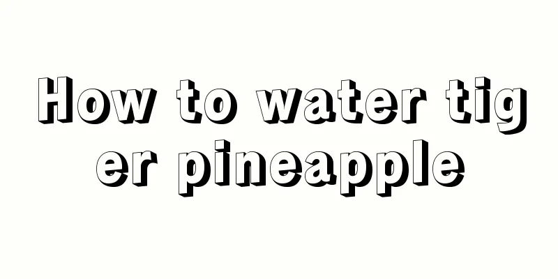 How to water tiger pineapple