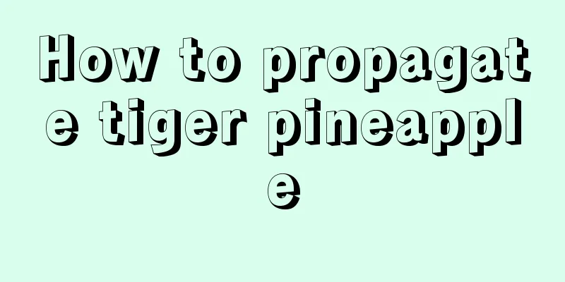 How to propagate tiger pineapple