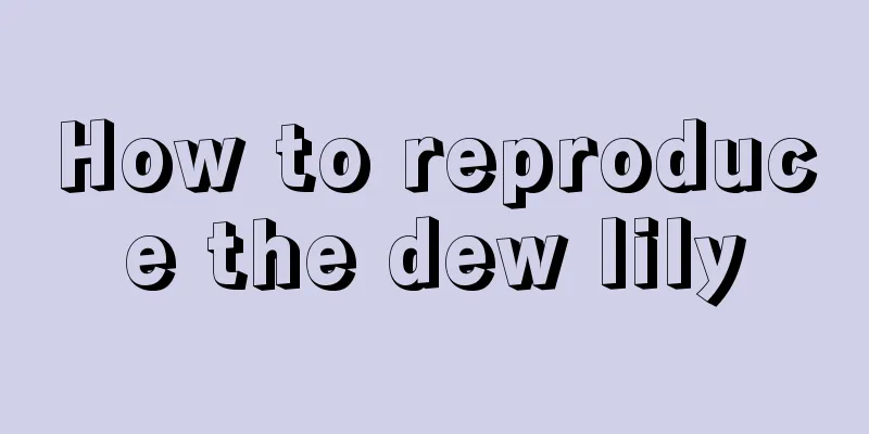 How to reproduce the dew lily