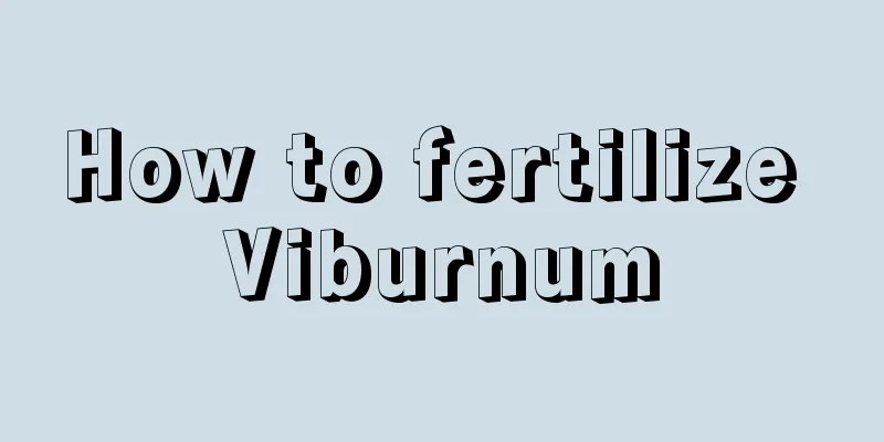 How to fertilize Viburnum