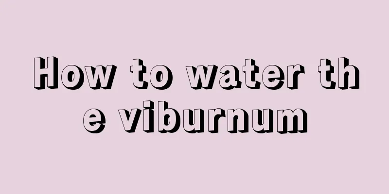 How to water the viburnum