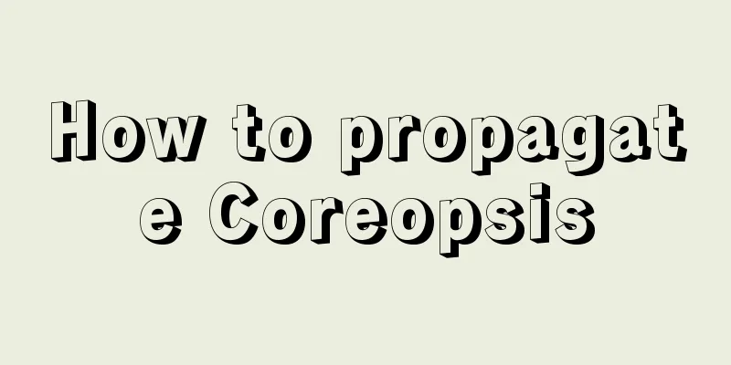 How to propagate Coreopsis