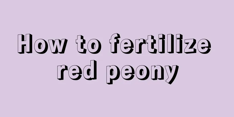 How to fertilize red peony