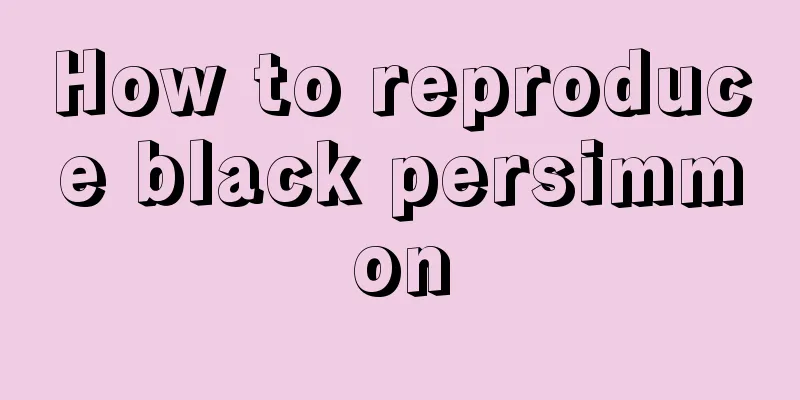 How to reproduce black persimmon