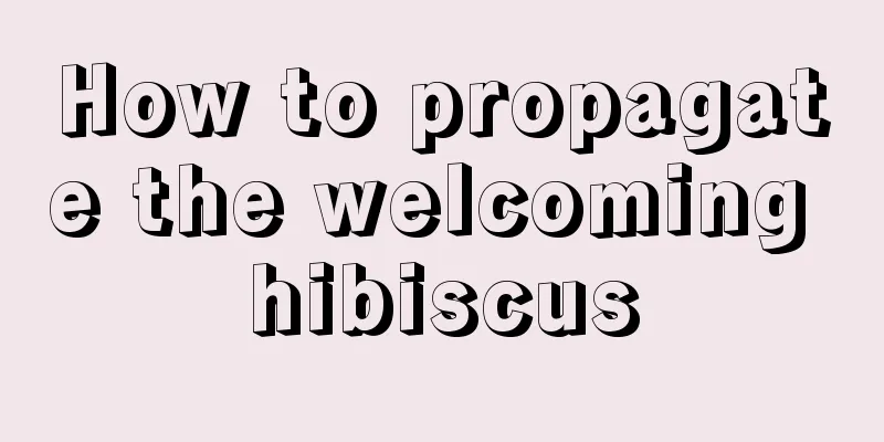 How to propagate the welcoming hibiscus