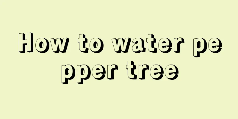 How to water pepper tree