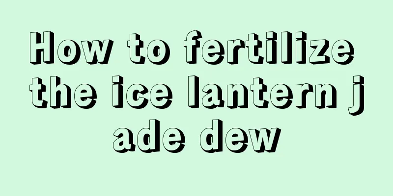 How to fertilize the ice lantern jade dew