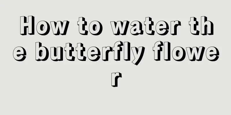 How to water the butterfly flower