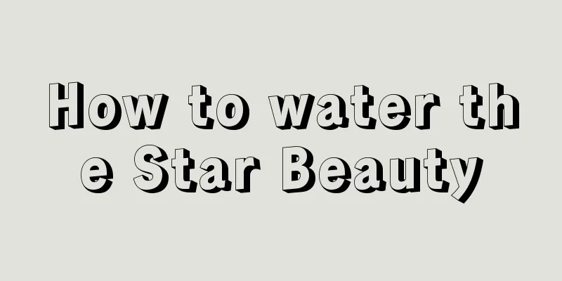 How to water the Star Beauty