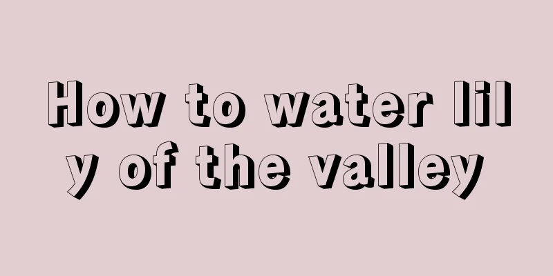 How to water lily of the valley