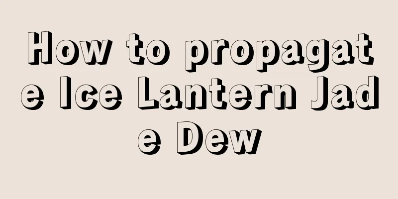 How to propagate Ice Lantern Jade Dew