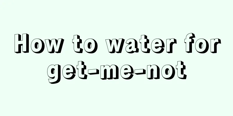 How to water forget-me-not