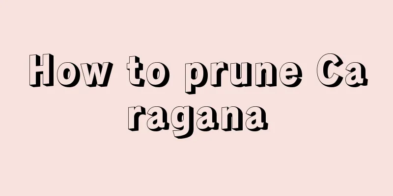 How to prune Caragana