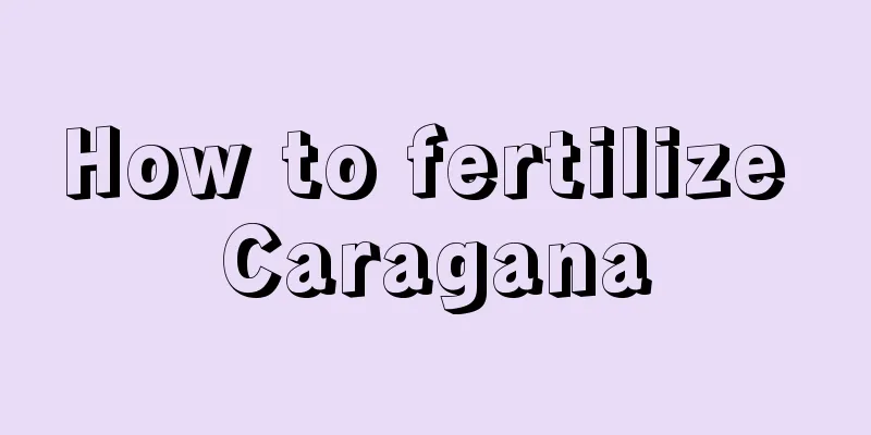 How to fertilize Caragana