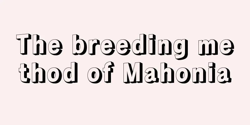 The breeding method of Mahonia