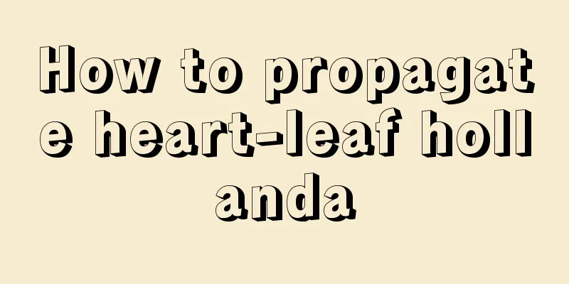 How to propagate heart-leaf hollanda