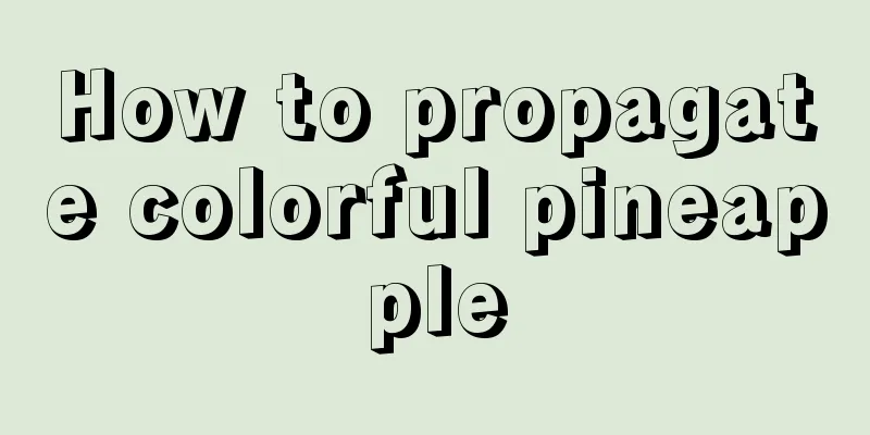 How to propagate colorful pineapple