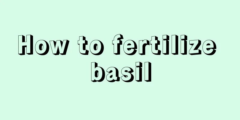 How to fertilize basil