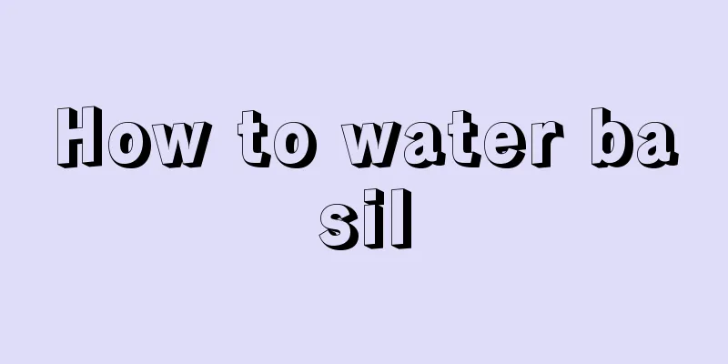 How to water basil