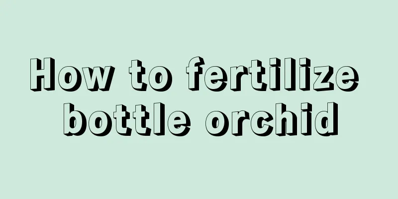 How to fertilize bottle orchid