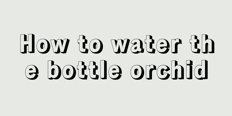 How to water the bottle orchid