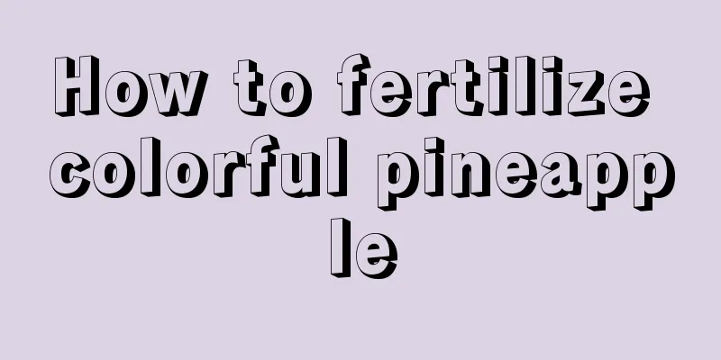 How to fertilize colorful pineapple