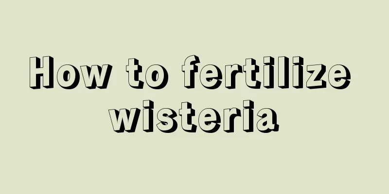 How to fertilize wisteria