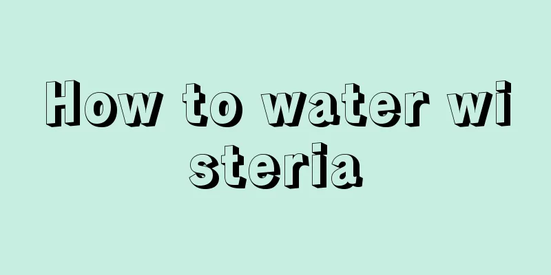 How to water wisteria