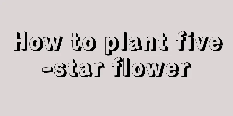 How to plant five-star flower