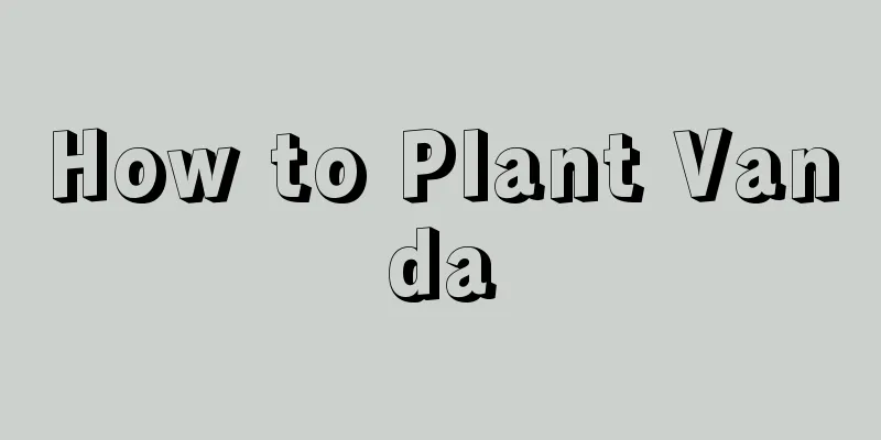 How to Plant Vanda