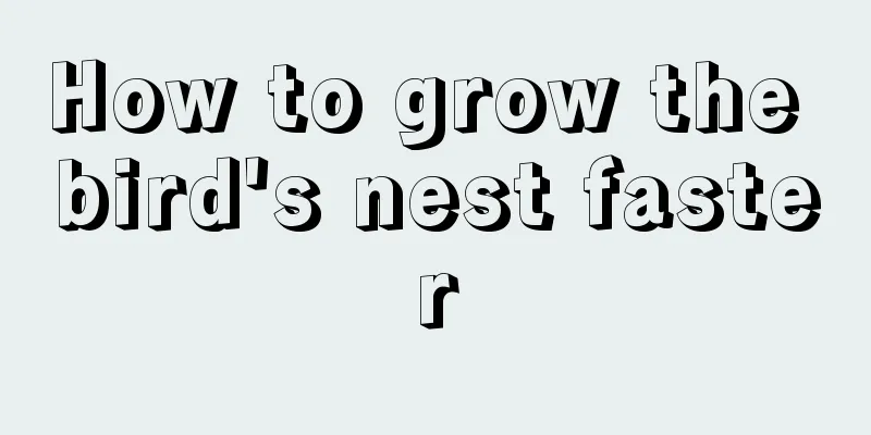 How to grow the bird's nest faster