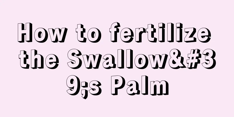 How to fertilize the Swallow's Palm