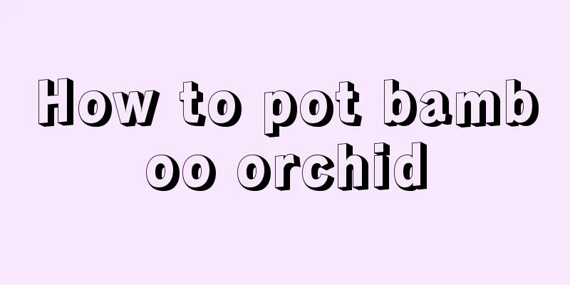 How to pot bamboo orchid