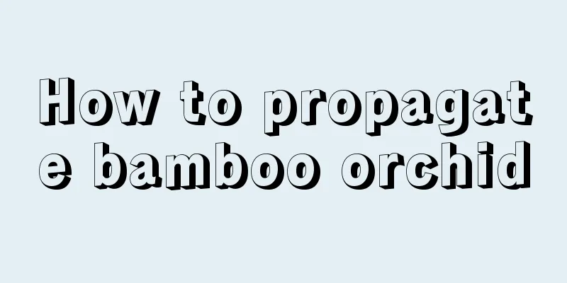 How to propagate bamboo orchid