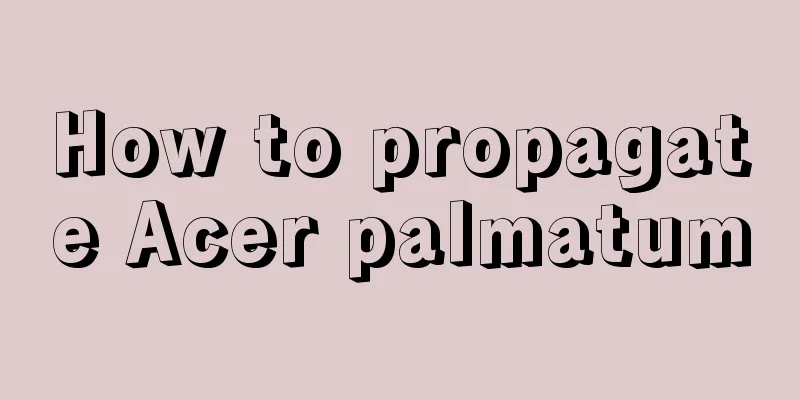 How to propagate Acer palmatum