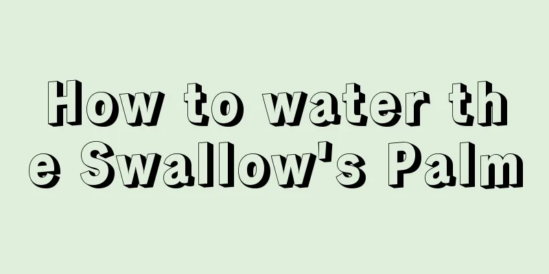 How to water the Swallow's Palm