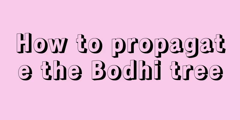 How to propagate the Bodhi tree