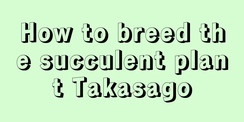 How to breed the succulent plant Takasago