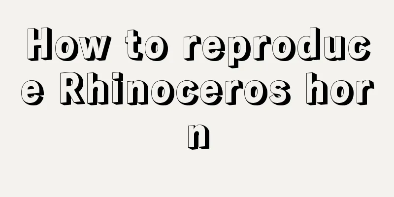 How to reproduce Rhinoceros horn