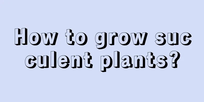 How to grow succulent plants?