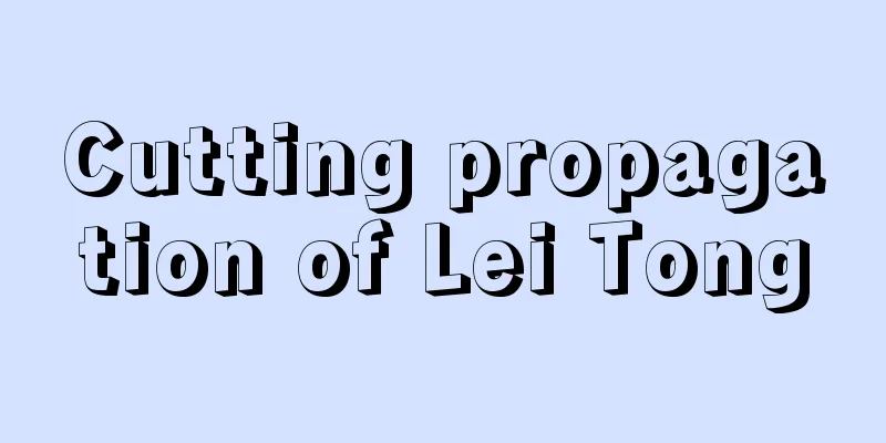 Cutting propagation of Lei Tong