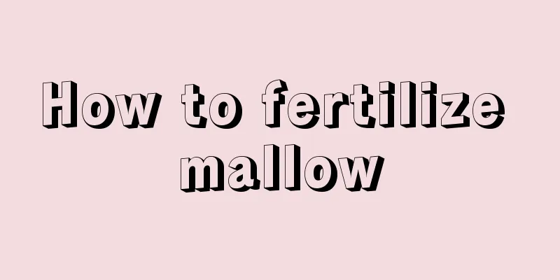 How to fertilize mallow