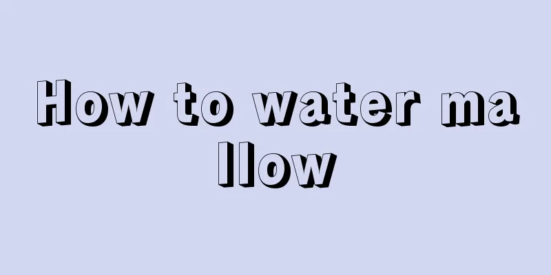 How to water mallow