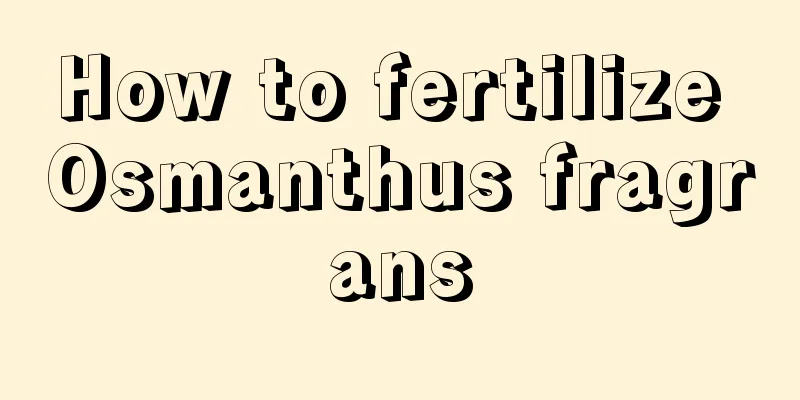 How to fertilize Osmanthus fragrans