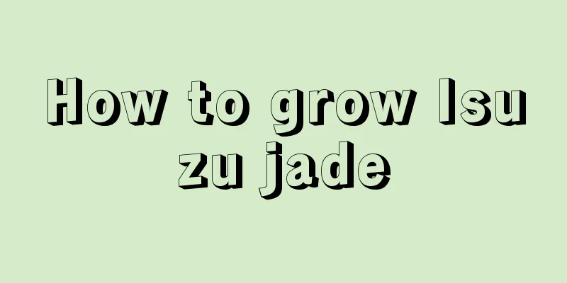 How to grow Isuzu jade