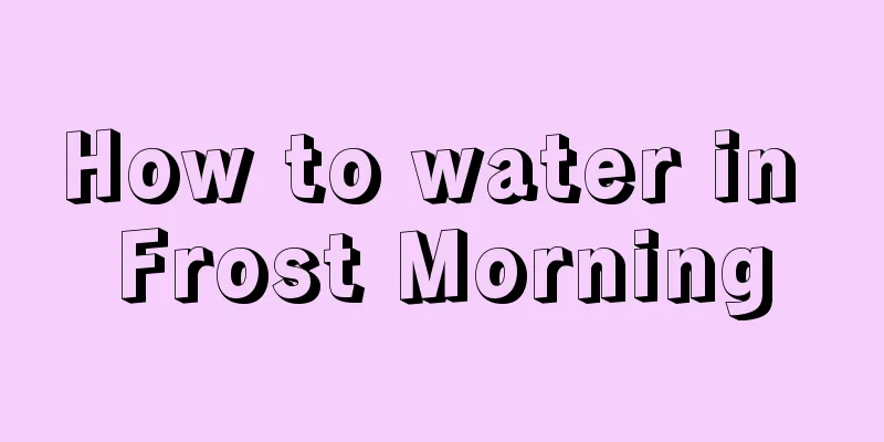 How to water in Frost Morning