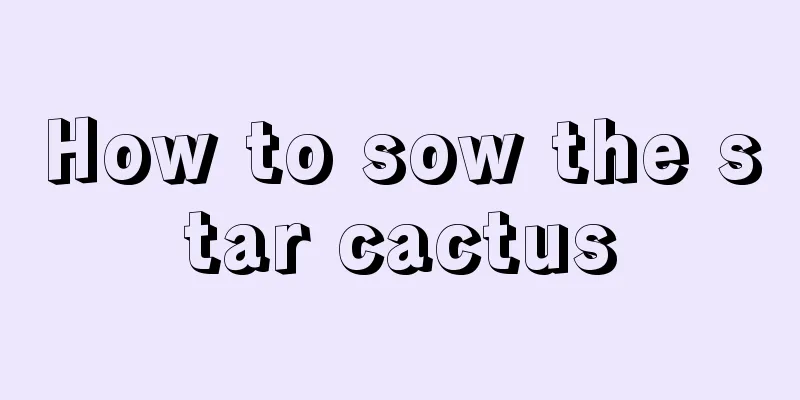 How to sow the star cactus